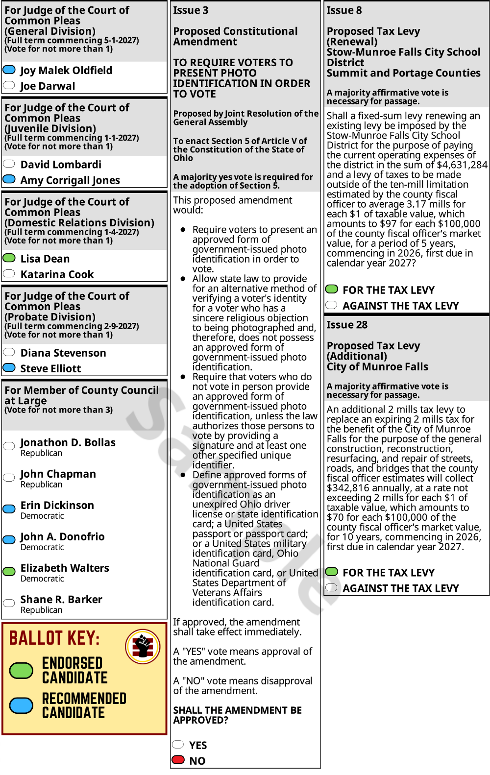 Page 2 of the sample ballot for Stow, Ohio's November 3, 2026 General Election.